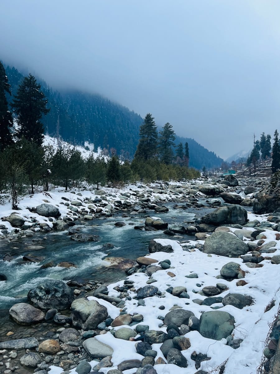 a river running through a snow covered forest